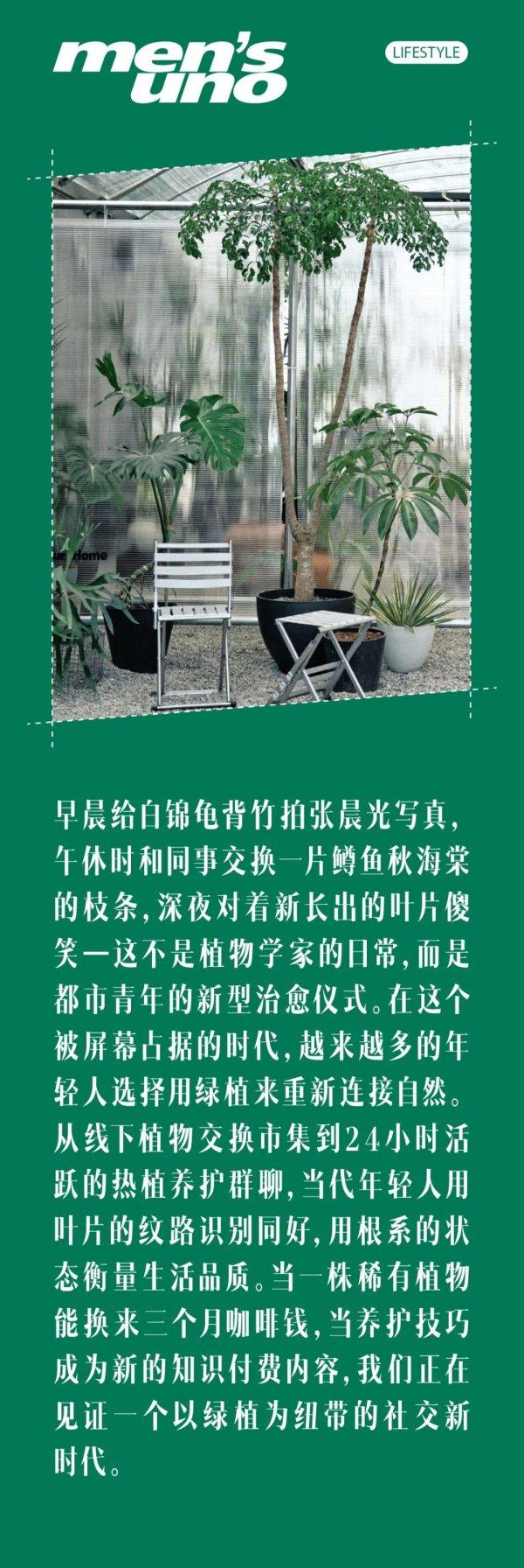 创同配资 不小心闯进了“植男”社交圈……