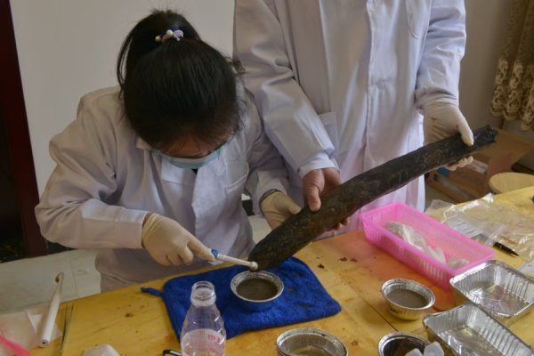 云资管 “荤素搭配”30万年前就有？东方先民“食谱”大揭密